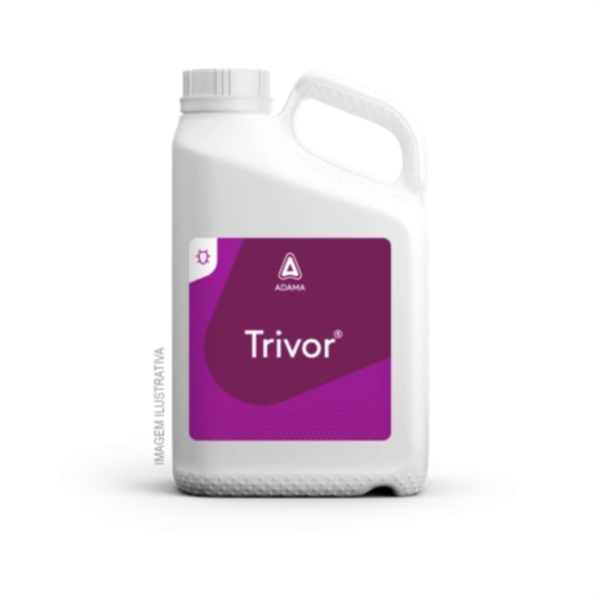 Trivor